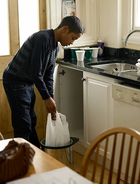 Attic Cleanout Services in Lombard, IL